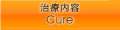 治療内容