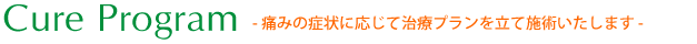 Cure Program-痛みの症状に応じて治療プランを立て施術いたします-